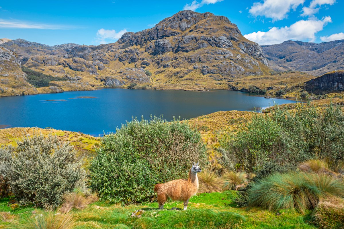 Parque-Nacional-El-Cajas