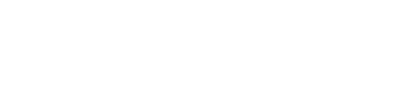 BMI-Logo