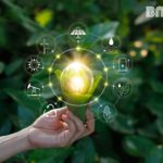 BMI camino a la sostenibilidad